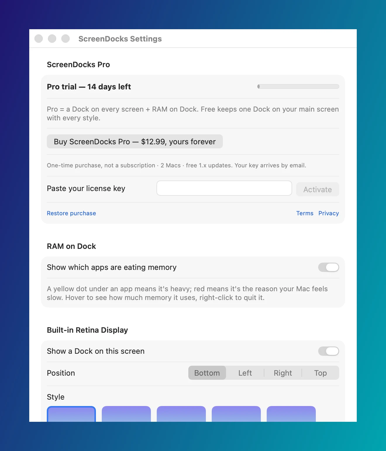 ScreenDocks Settings: Pro trial with 14 days left, Buy ScreenDocks Pro $12.99, a license key field, RAM on Dock switched on, and the Dock options for the built-in display